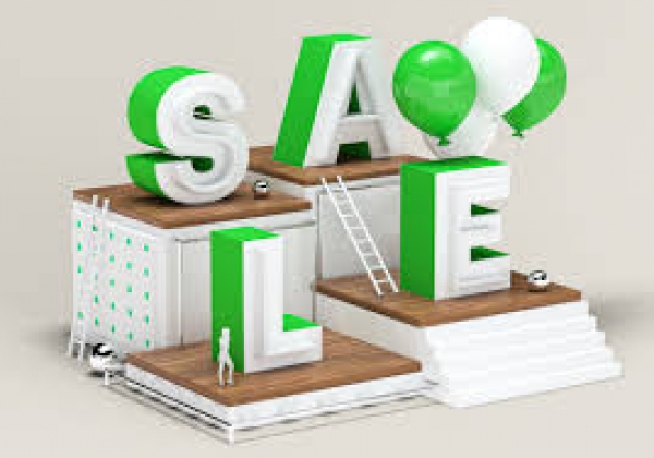 Promotional Website